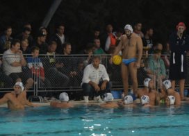 Győzelem! Fontos sikert arattunk itthon!