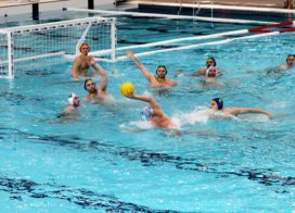 A félidőig nyílt volt a küzdelem